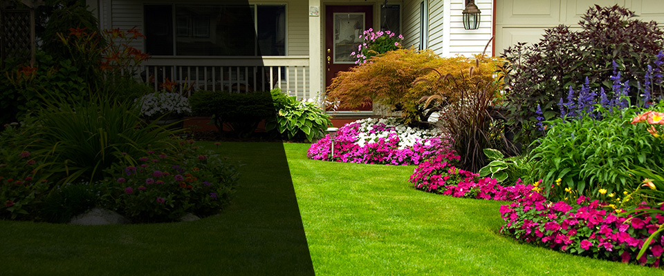 Allen Park Landscapers